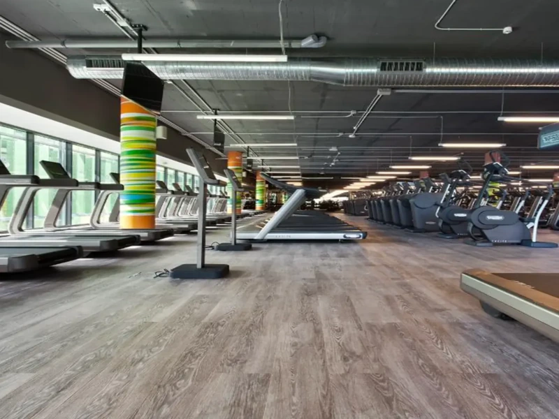 Vinyl floor for gym